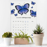 2024 NZ Butterflies Calendar