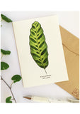 Watercolour Nature Cards