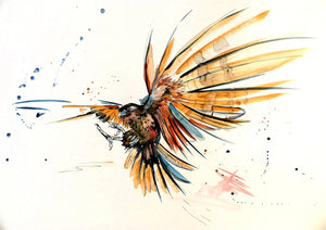 NZ Falcon Print