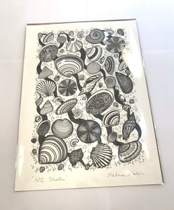 "NZ Shells" A4 Print